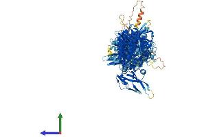AlphaFold protein structure predicition of Human Recombinant JAK1 Protein, UniprotID P23458