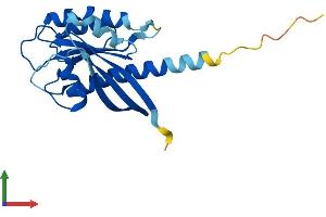 AlphaFold protein structure predicition of Human Recombinant RAB7B Protein, UniprotID Q96AH8