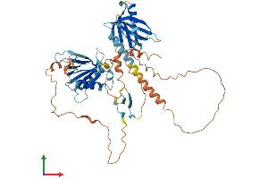AlphaFold protein structure predicition of Human Recombinant APBB3 Protein, UniprotID O95704