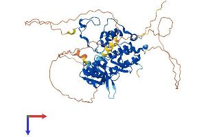 AlphaFold protein structure predicition of Mouse Recombinant Cdc7 Protein, UniprotID Q9Z0H0