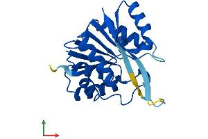 AlphaFold protein structure predicition of Human Recombinant METTL5 Protein, UniprotID Q9NRN9