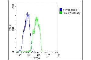 anti-Retinoic Acid Receptor Responder (Tazarotene Induced) 2 (RARRES2) (AA 1-35) antibody