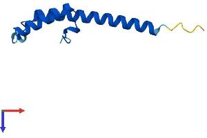 AlphaFold protein structure predicition of Mouse Recombinant Cmc2 Protein, UniprotID Q8K199