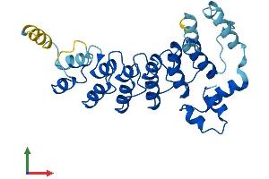 AlphaFold protein structure predicition of Mouse Recombinant Asb8 Protein, UniprotID Q91ZT9