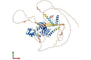 AlphaFold protein structure predicition of Human Recombinant TP63 Protein, UniprotID Q9H3D4