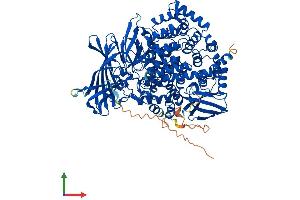 AlphaFold protein structure predicition of Mouse Recombinant Erap1 Protein, UniprotID Q9EQH2