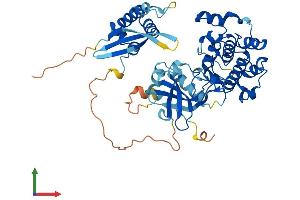 AlphaFold protein structure predicition of Mouse Recombinant Sgk3 Protein, UniprotID Q9ERE3