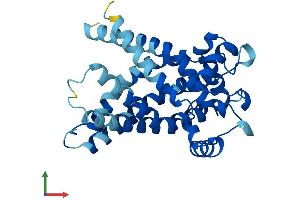 AlphaFold protein structure predicition of Mouse Recombinant Slc25a5 Protein, UniprotID P51881