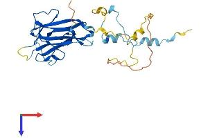 AlphaFold protein structure predicition of Mouse Recombinant Mvb12a Protein, UniprotID Q78HU3