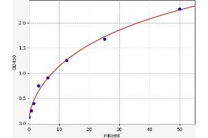 Neutral alpha-Glucosidase ELISA Kit