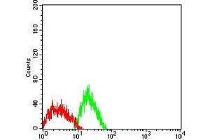 anti-Glypican 3 (GPC3) (AA 359-554) antibody