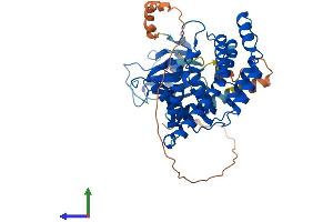 AlphaFold protein structure predicition of Mouse Recombinant Chka Protein, UniprotID O54804