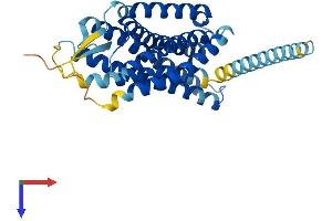 AlphaFold protein structure predicition of Mouse Recombinant Gpr65 Protein, UniprotID Q61038