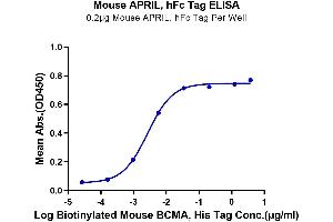 Immobilized Mouse APRIL, hFc Tag at 2 μg/mL (100 μL/well) on the plate.
