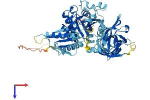 AlphaFold protein structure predicition of Human Recombinant GTPBP2 Protein, UniprotID Q9BX10