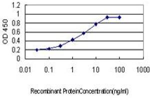 Detection limit for recombinant GST tagged PITX1 is approximately 0.