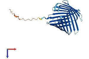 AlphaFold protein structure predicition of Mouse Recombinant Tomm40l Protein, UniprotID Q9CZR3