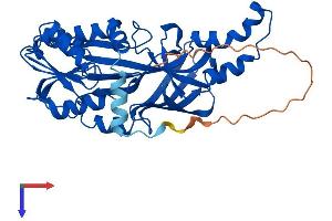 AlphaFold protein structure predicition of Mouse Recombinant Prmt6 Protein, UniprotID Q6NZB1