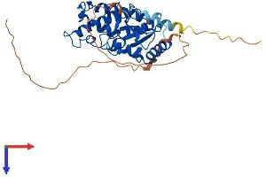 AlphaFold protein structure predicition of Human Recombinant UBE2Z Protein, UniprotID Q9H832