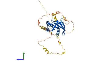 AlphaFold protein structure predicition of Human Recombinant REM2 Protein, UniprotID Q8IYK8