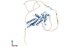 AlphaFold protein structure predicition of Human Recombinant TFAP2A Protein, UniprotID P05549