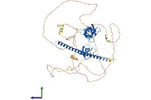 AlphaFold protein structure predicition of Human Recombinant CD2AP Protein, UniprotID Q9Y5K6