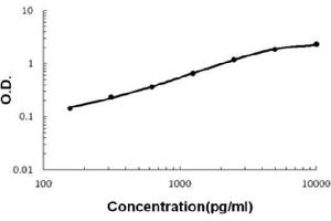 Sandwich ELISA - Recombinant human IGFBP3 protein standard curve.