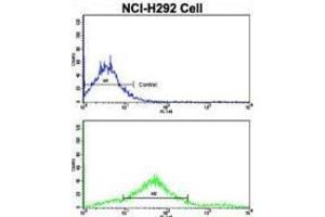 Flow Cytometry (FACS) image for anti-Cadherin 7 (CDH7) antibody (ABIN2998181)