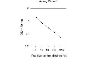 Image no. 2 for Epidermal Growth Factor Receptor (EGFR) ELISA Kit (ABIN625235) (EGFR Kit ELISA)