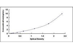 ELISA image for Activin A Receptor, Type IIA (ACVR2A) ELISA Kit (ABIN417843)