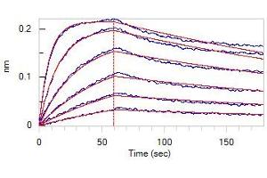 Loaded Human ACE2, Fc Tag (Cat.