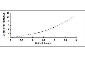 Typical standard curve