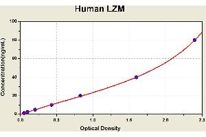 Diagramm of the ELISA kit to detect Human LZMwith the optical density on the x-axis and the concentration on the y-axis. (LYZ Kit ELISA)