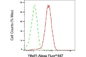 Flow cytometric analysis of Ythdf1 expression in HAP-1 cells using Ythdf1 antibody (ABIN7800885), 1:2,000). (Recombinant YTHDF1 anticorps)