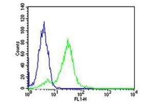 Flow cytometric analysis of HeLa cells using RPS6 antibody (green) and an isotype control of mouse IgG1 (blue)