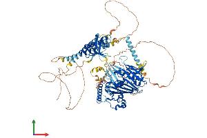 AlphaFold protein structure predicition of Human Recombinant OSBPL3 Protein, UniprotID Q9H4L5