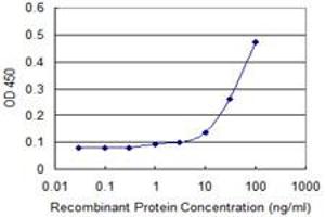 Detection limit for recombinant GST tagged FLJ23834 is approximately 1ng/ml as a capture antibody.