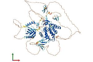 AlphaFold protein structure predicition of Human Recombinant ARHGAP27 Protein, UniprotID Q6ZUM4