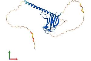 AlphaFold protein structure predicition of Mouse Recombinant Tnfsf13b Protein, UniprotID Q9WU72