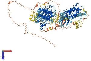 AlphaFold protein structure predicition of Mouse Recombinant Rps6ka6 Protein, UniprotID Q7TPS0