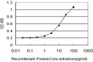 Detection limit for recombinant GST tagged KCNG3 is approximately 0.