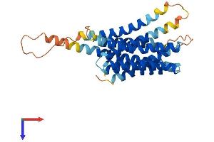 AlphaFold protein structure predicition of Mouse Recombinant Slc39a9 Protein, UniprotID Q8BFU1