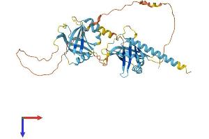 AlphaFold protein structure predicition of Human Recombinant PTOV1 Protein, UniprotID Q86YD1