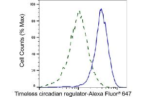 Validation of Timeless circadian regulator knockdown using flow cytometry. (Recombinant TIMELESS anticorps)