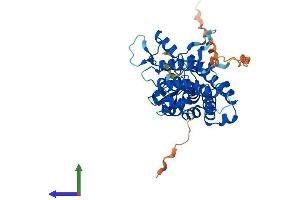 AlphaFold protein structure predicition of Human Recombinant SAC3D1 Protein, UniprotID A6NKF1