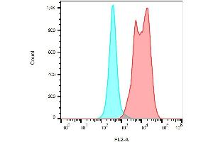 Surface staining of PMA/ionomycin-activated PBMC using anti-CD154 (24-31) PE. (CD40 Ligand anticorps  (PE))