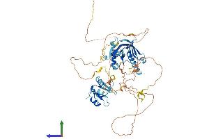 AlphaFold protein structure predicition of Mouse Recombinant Shc1 Protein, UniprotID P98083
