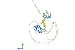 AlphaFold protein structure predicition of Human Recombinant HNRNPAB Protein, UniprotID Q99729