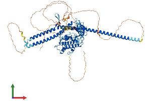 AlphaFold protein structure predicition of Human Recombinant TLK1 Protein, UniprotID Q9UKI8