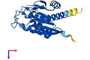 AlphaFold protein structure predicition of Human Recombinant PGPEP1 Protein, UniprotID Q9NXJ5